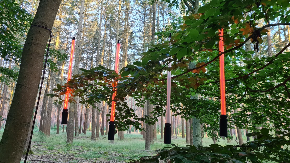 EMRSIV LED Tubes in the forest